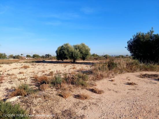 Se vende terreno de 13.000m2 en zona Squash - ALICANTE