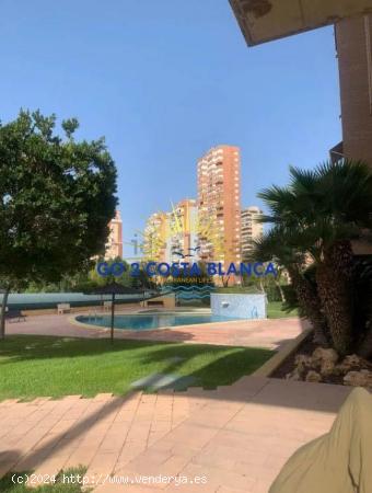 Se Vende en Benidorm - ALICANTE