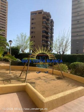 Se Vende en Benidorm - ALICANTE