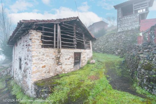 Se Vende en Piloña - ASTURIAS