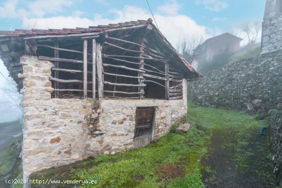 Se Vende en Piloña - ASTURIAS