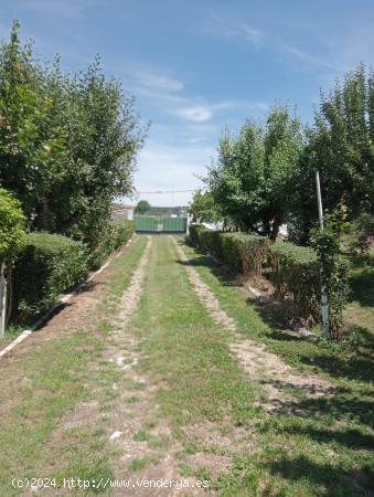 PARCELA EN FLORIDA DE LIÉBANA - SALAMANCA