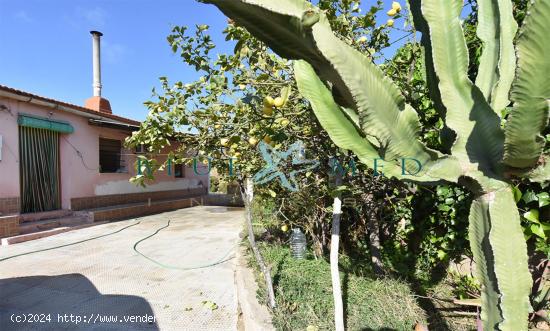  CASA DE CAMPO EN LOS LORENTES - MURCIA 