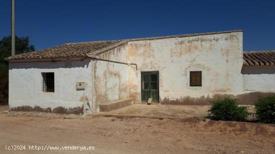  AMPLIA FINCA CON CULTIVO - MURCIA 