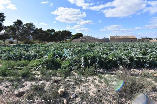 FINCA RÚSTICA EN VENTA EN CAÑADAS DEL ROMERO - MURCIA