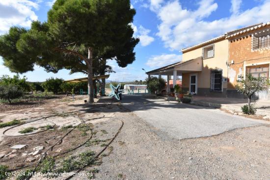 FINCA RÚSTICA EN VENTA EN CAÑADAS DEL ROMERO - MURCIA