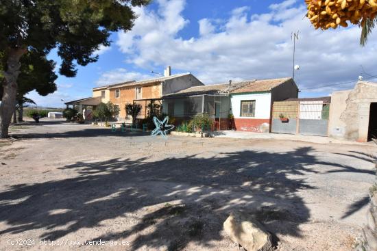 FINCA RÚSTICA EN VENTA EN CAÑADAS DEL ROMERO - MURCIA