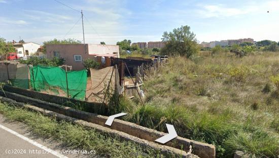 Terreno agrario a la venta en Castellón - CASTELLON