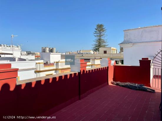  DOS PISOS CON BALCONES A LA CALLE ANCHA Y GRAN TERRAZA! - CADIZ 