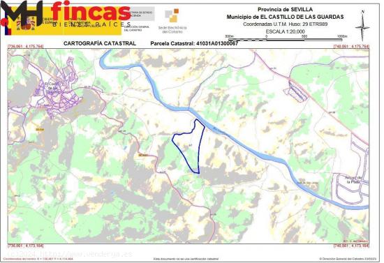 IMPRESIONANTE DEHESA DE 35 Hectareas en plena sierra de sevilla caserio semi reformado - SEVILLA