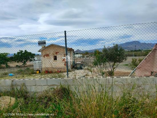 SE VENDE PARCELA RUSTICA CON AGUA Y TODA VALLADA EN ASPE - ALICANTE