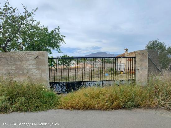 SE VENDE PARCELA RUSTICA CON AGUA Y TODA VALLADA EN ASPE - ALICANTE