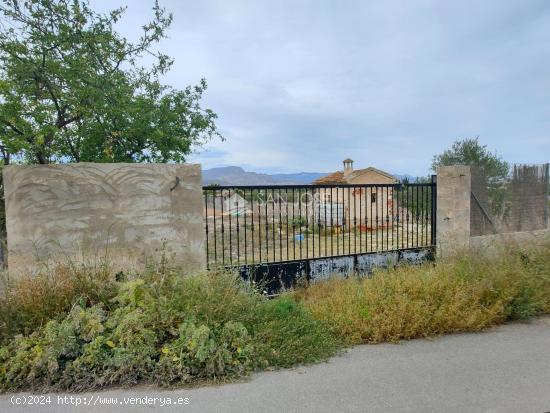 SE VENDE PARCELA RUSTICA CON AGUA Y TODA VALLADA EN ASPE - ALICANTE