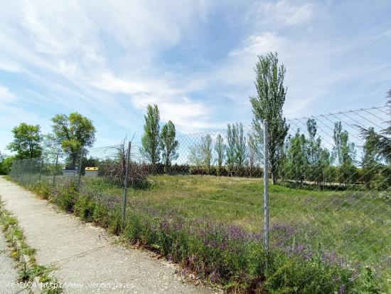 Urbis te ofrece una parcela en venta en zona Urbanización Mirasierra, Martinamor, Salamanca. - SALA