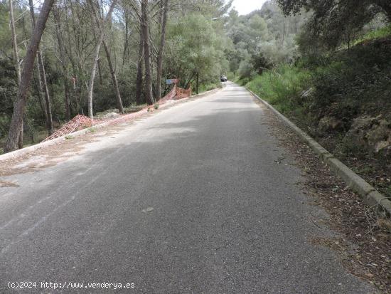  Terreno urbano en Puigpunyent - BALEARES 