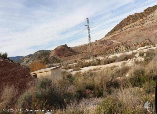 TERRENO AGRÍCOLA EN NOVELDA - ALICANTE