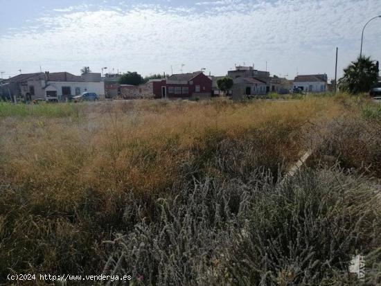 TERRENO RÚSTICO EN ORIHUELA - ALICANTE