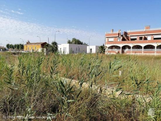 TERRENO RÚSTICO EN ORIHUELA - ALICANTE