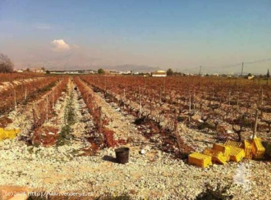 TERRENO AGRÍCOLA CON EDIFICACIÒN EN NOVELDA - ALICANTE