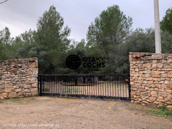 TERRENO RURAL CON CASITA Y POZO EN CASTELLVELL DEL CAMP - TARRAGONA