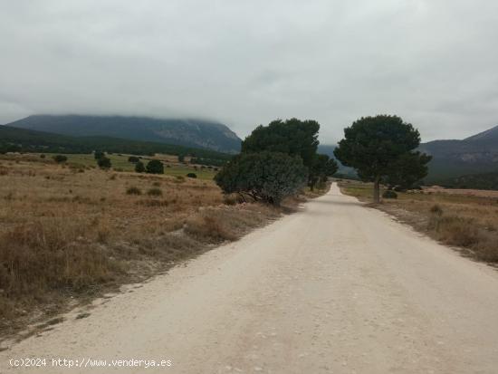 Terreno rustico, LA PARROQUIA, Aguica - MURCIA