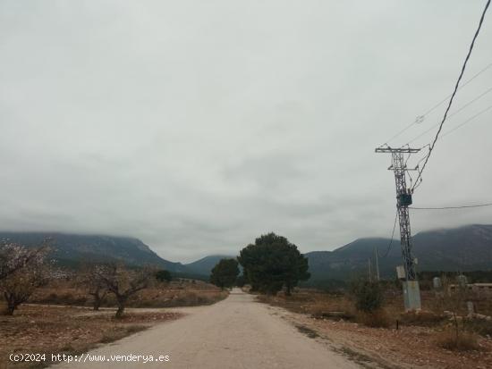 Terreno rustico, LA PARROQUIA, Aguica - MURCIA