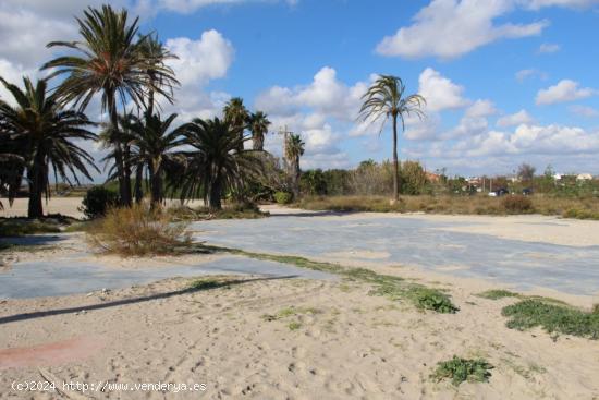 ALQUILER DE SOLAR EN PLAYA PINEDO EN SUELO PROTEGIDO - VALENCIA