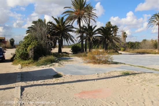 ALQUILER DE SOLAR EN PLAYA PINEDO EN SUELO PROTEGIDO - VALENCIA