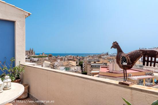 Atico en Bonaire con terraza y magníficas vistas - BALEARES