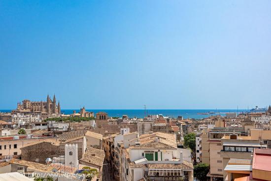 Atico en Bonaire con terraza y magníficas vistas - BALEARES