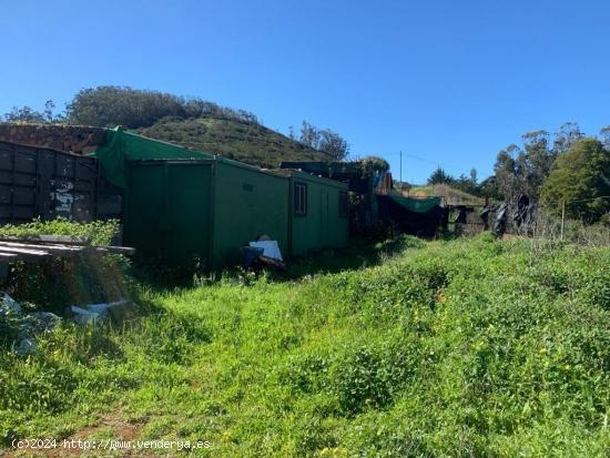 Terreno de clase rustico con 14000m² para uso agrario de gran calidad!!!!! - SANTA CRUZ DE TENERIFE