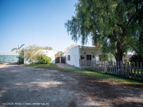  FINCA RÚSTICA EN LA ZONA DE COSTA BALLENA - CADIZ 