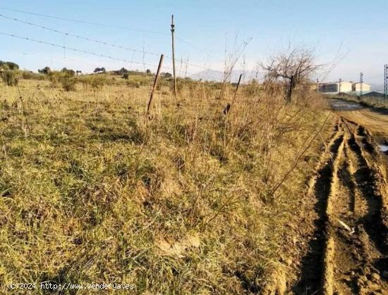 Terreno urbanizable en Plasencia - CACERES