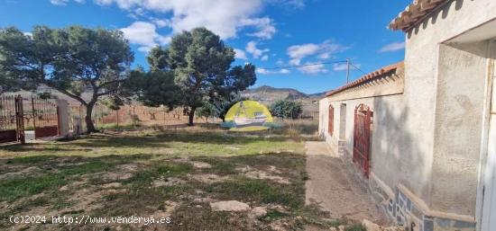 CASA DE CAMPO PARCIALMENTE REFORMADA - MURCIA