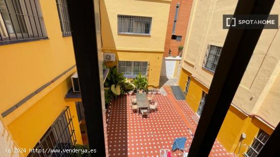 Habitación en piso compartido en Sevilla - SEVILLA