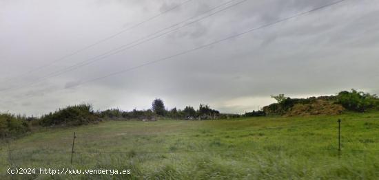 Parcela Rústica en Caravia. - ASTURIAS