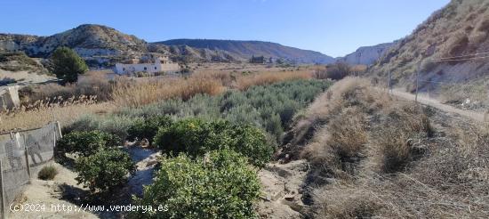 PARCELA SE ENCUENTRA EN LOS BAÑOS - MURCIA