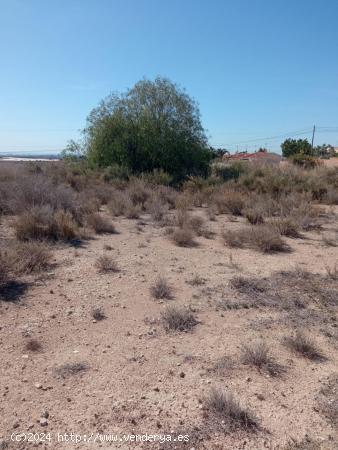  Parcela urbana con paro de edificabilidad en Mutxamel, 13 km de Alicante - ALICANTE 