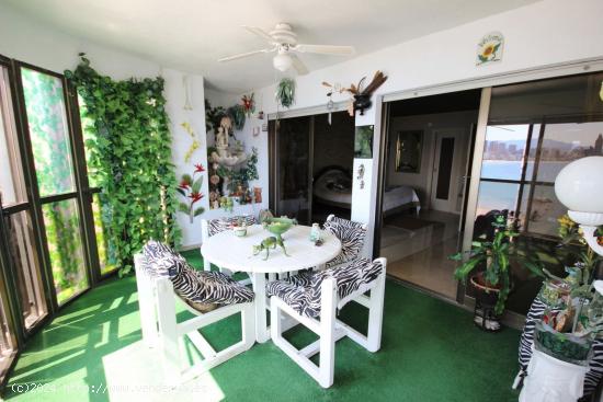 Apartamento en Benidorm - ALICANTE