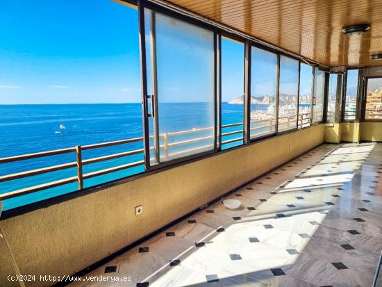 Apartamento en primera línea de playa en Benidorm - ALICANTE