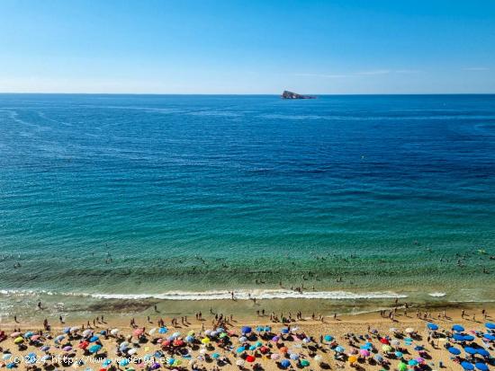 Apartamento en primera línea de playa en Benidorm - ALICANTE