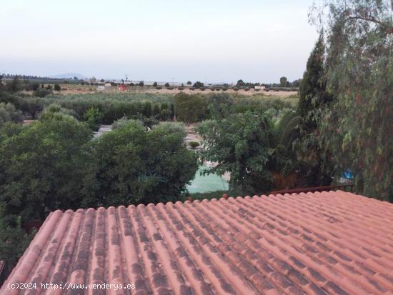 CASA DE CAMPO EN VENTA EN ALHAMA DE MURCIA - MURCIA