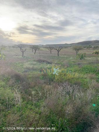 PROYECTO DE REFORMA !! Casa de campo con terreno en hermoso campo - MURCIA