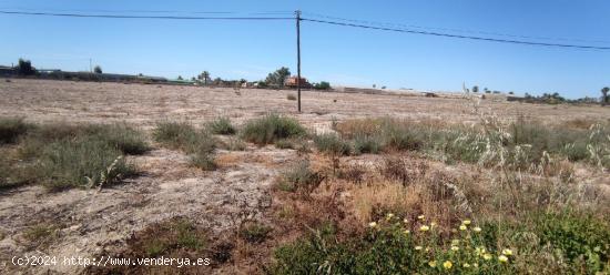  Parcela rustica de 22400m2 en venta en Elche. - ALICANTE 