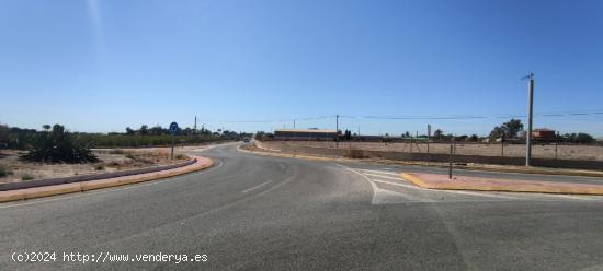 Parcela rustica de 22400m2 en venta en Elche. - ALICANTE