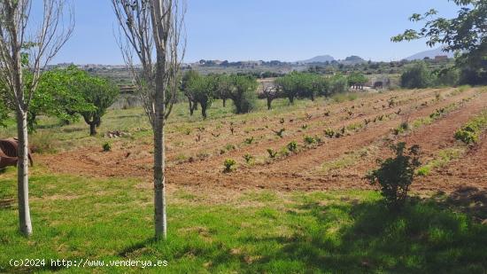 Finca con encanto en Senija - ALICANTE