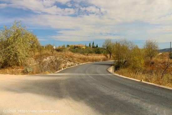  Terreno en zona RASPAY, Jumilla - MURCIA 