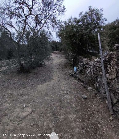 SE VENDE FINCA RÚSTICA EN VENTA EN GALAROZA (HUELVA) ESPAÑA. - Galaroza