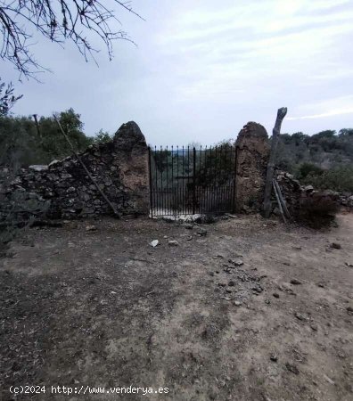 SE VENDE FINCA RÚSTICA EN VENTA EN GALAROZA (HUELVA) ESPAÑA. - Galaroza