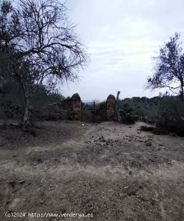 SE VENDE FINCA RÚSTICA EN VENTA EN GALAROZA (HUELVA) ESPAÑA. - Galaroza